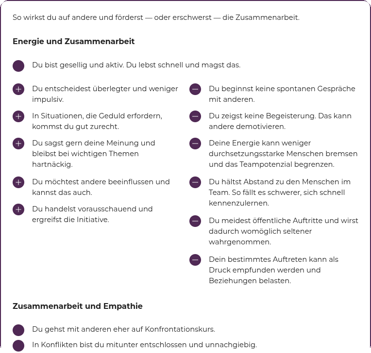 Empatyzer: Profil zu Energie, Zusammenarbeit und Empathie sowie zur Wirkung des Verhaltens im Team.